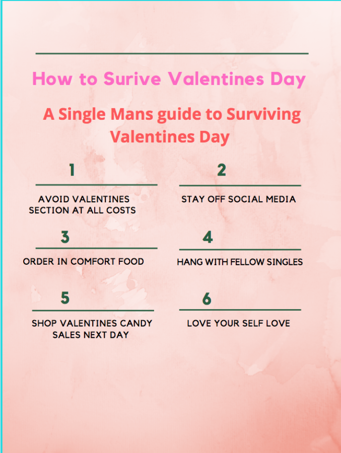 Single persons guide to surviving Valentines day