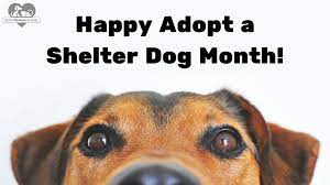 Who Let the Dogs Out: Adopt a Shelter Dog Month!
