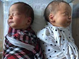 How do Twins Become Twins?