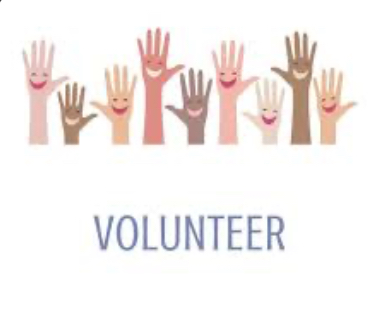 Picture from: Volunteer at MSD of Decatur
Township Schools | Families