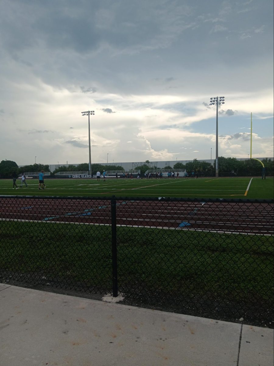 The Most Loved Sport